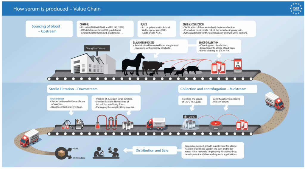 What is bovine serum? European Serum Products Association (ESPA)